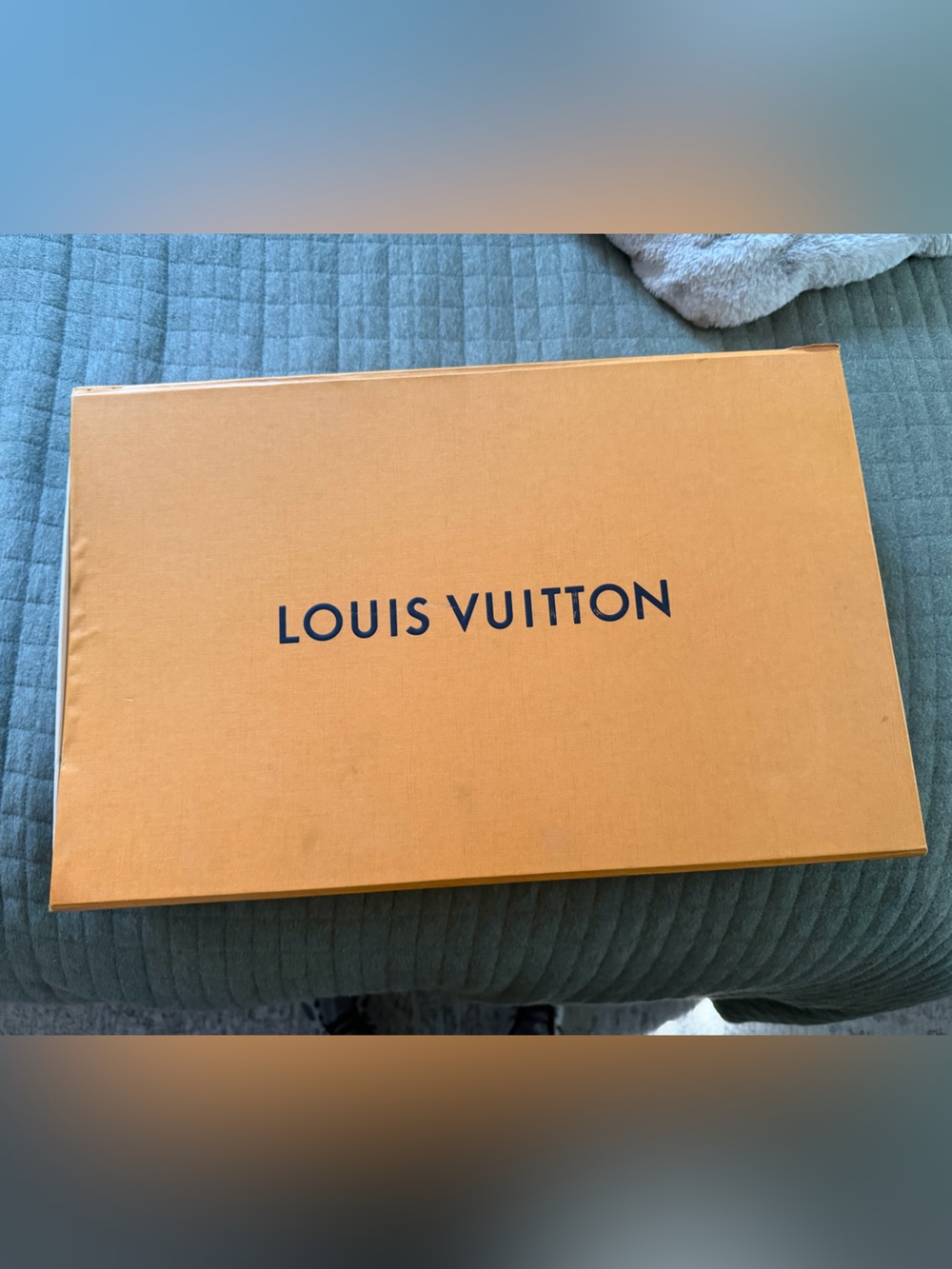 Louis Vuitton Orange Gift Box & Dust Bag – Authentic Packaging – Large